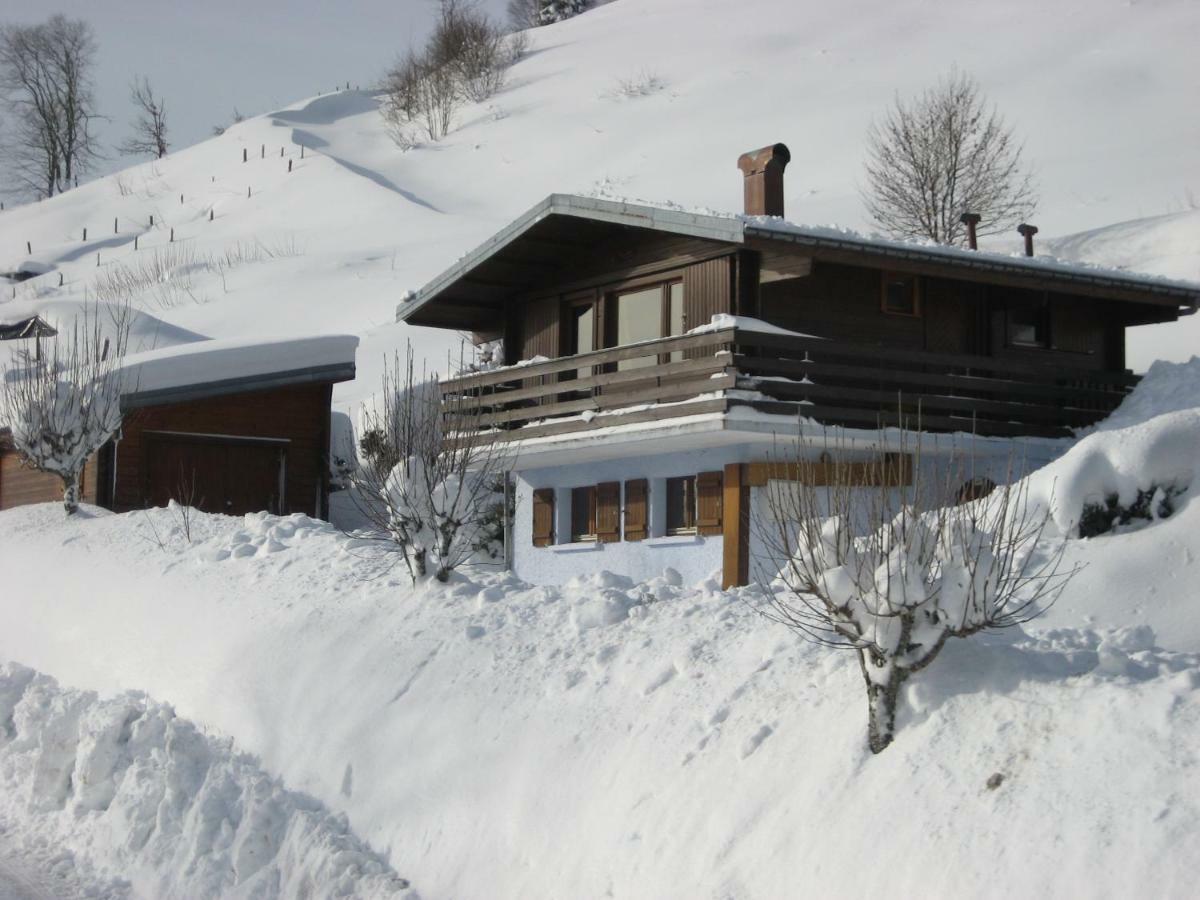 Les Genets Villa La Bresse Dış mekan fotoğraf
