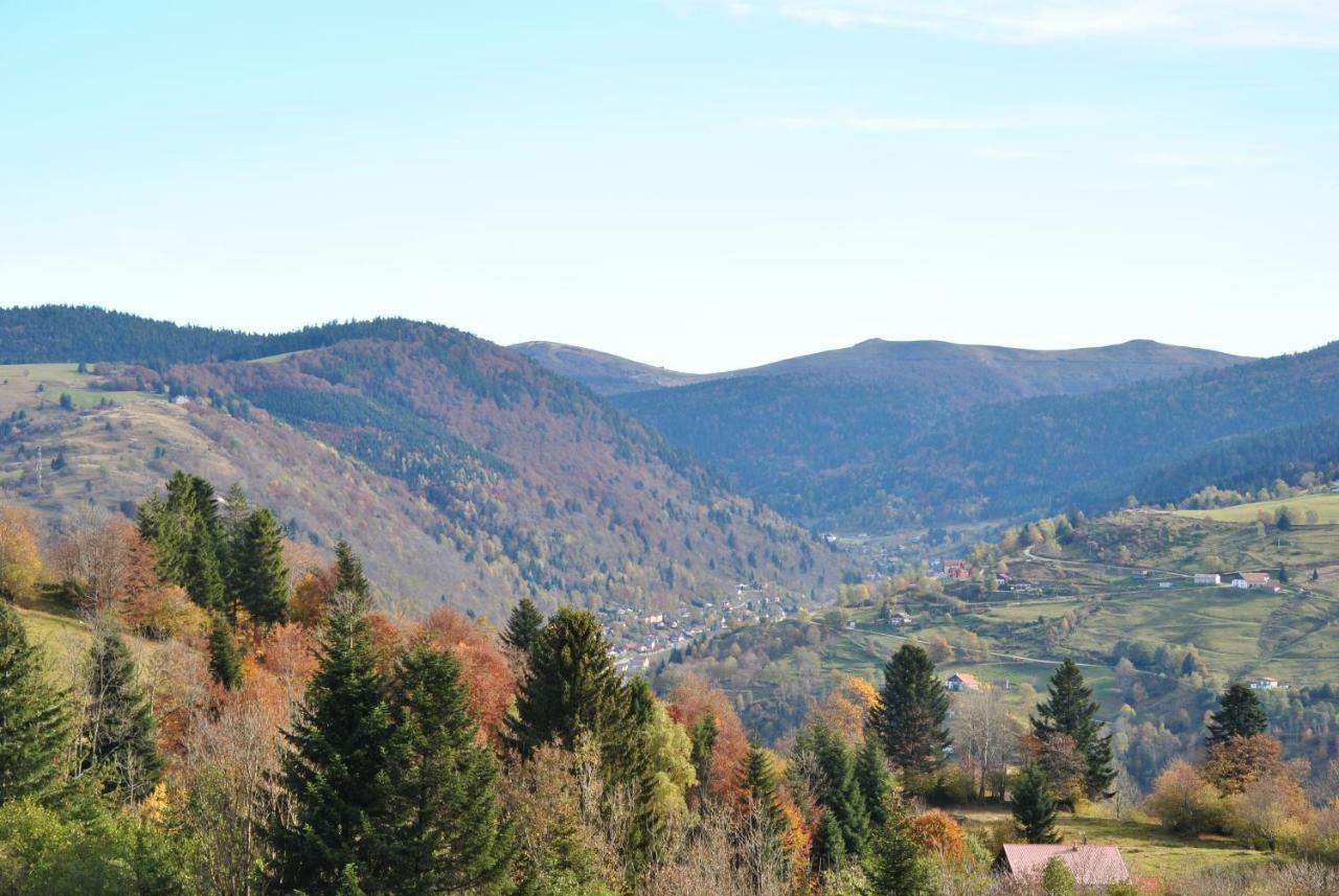 Les Genets Villa La Bresse Dış mekan fotoğraf