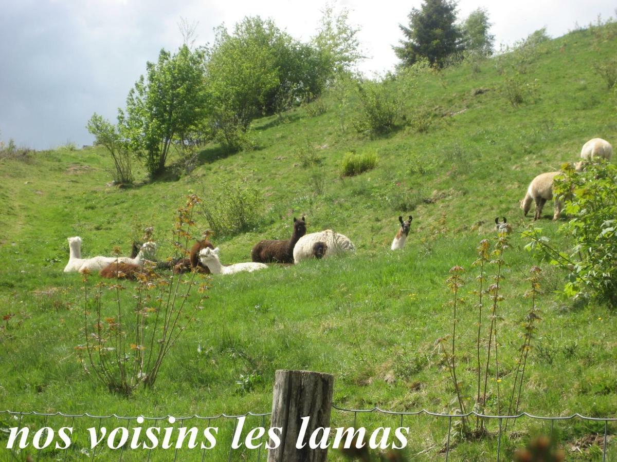 Les Genets Villa La Bresse Dış mekan fotoğraf
