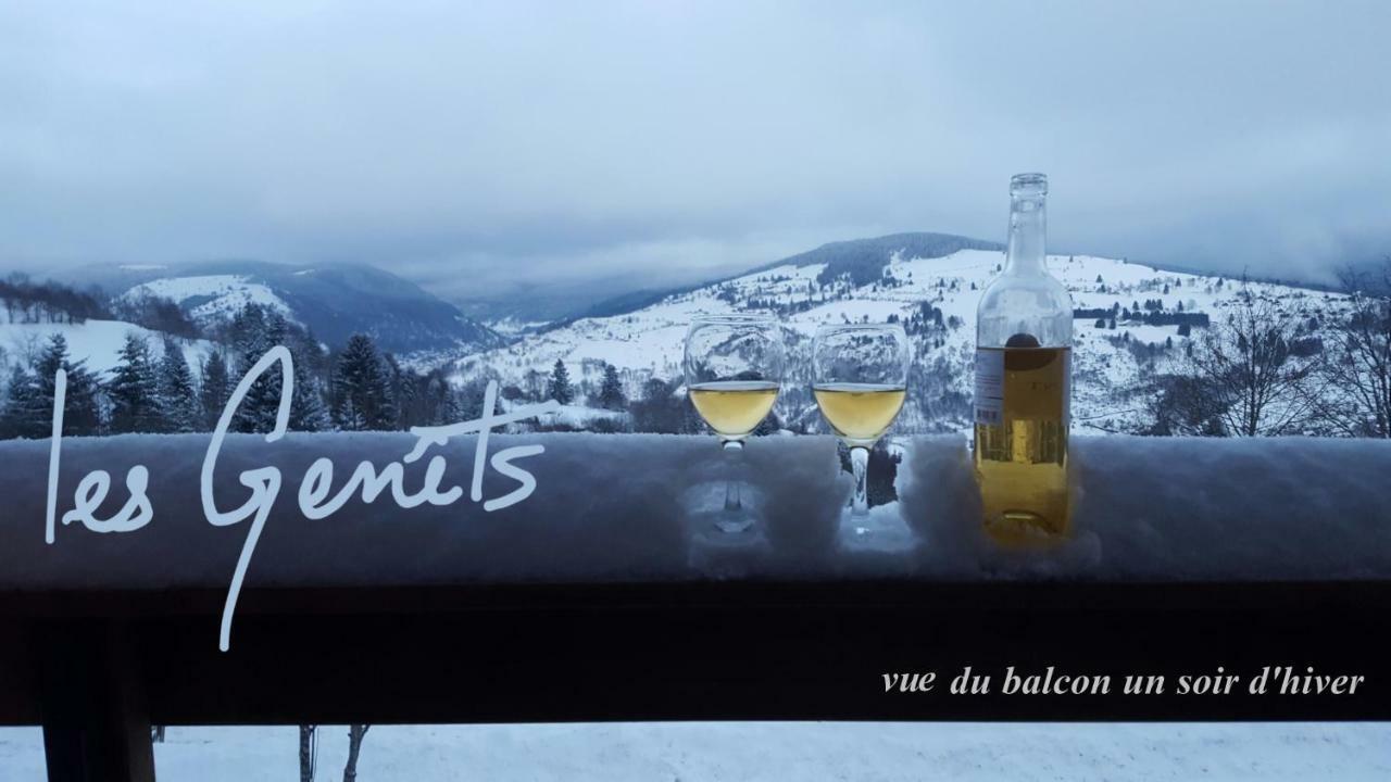 Les Genets Villa La Bresse Dış mekan fotoğraf