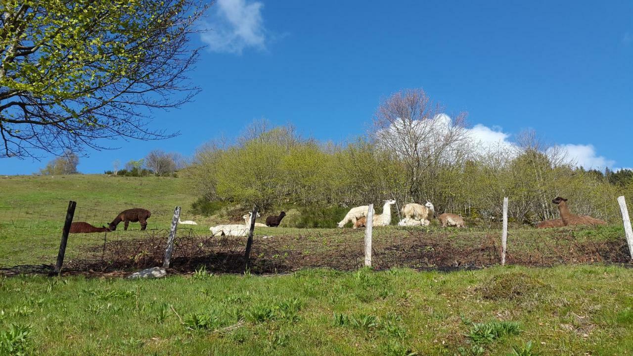 Les Genets Villa La Bresse Dış mekan fotoğraf