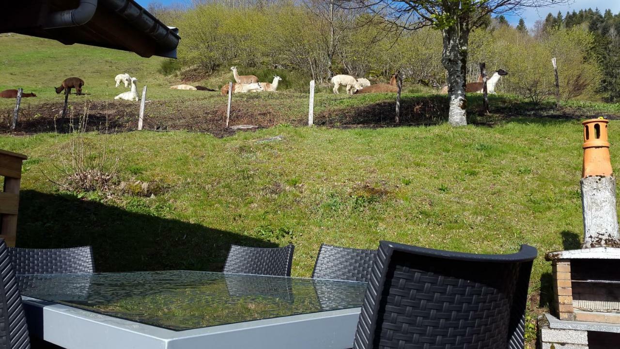 Les Genets Villa La Bresse Dış mekan fotoğraf