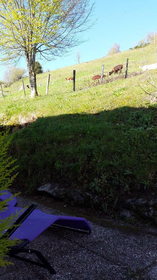 Les Genets Villa La Bresse Dış mekan fotoğraf